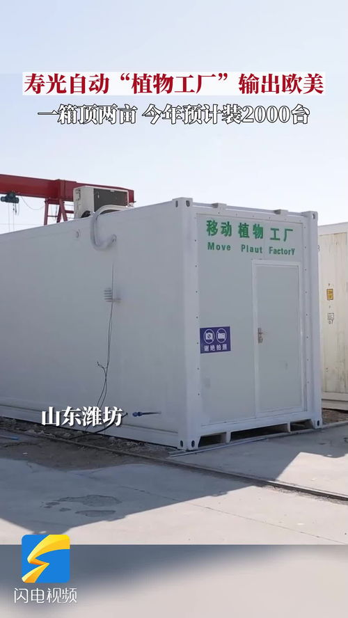 種菜果然是山東人天賦技能 壽光自動(dòng) 植物工廠 輸出歐美今年預(yù)計(jì)推廣2000臺(tái)